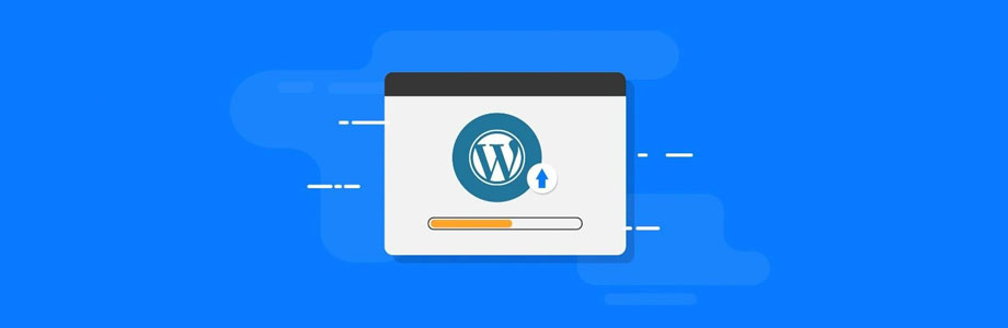 WordPress نىڭ ئاپتوماتىك يېڭىلانشىنى قانداق چەكلەيدۇ؟